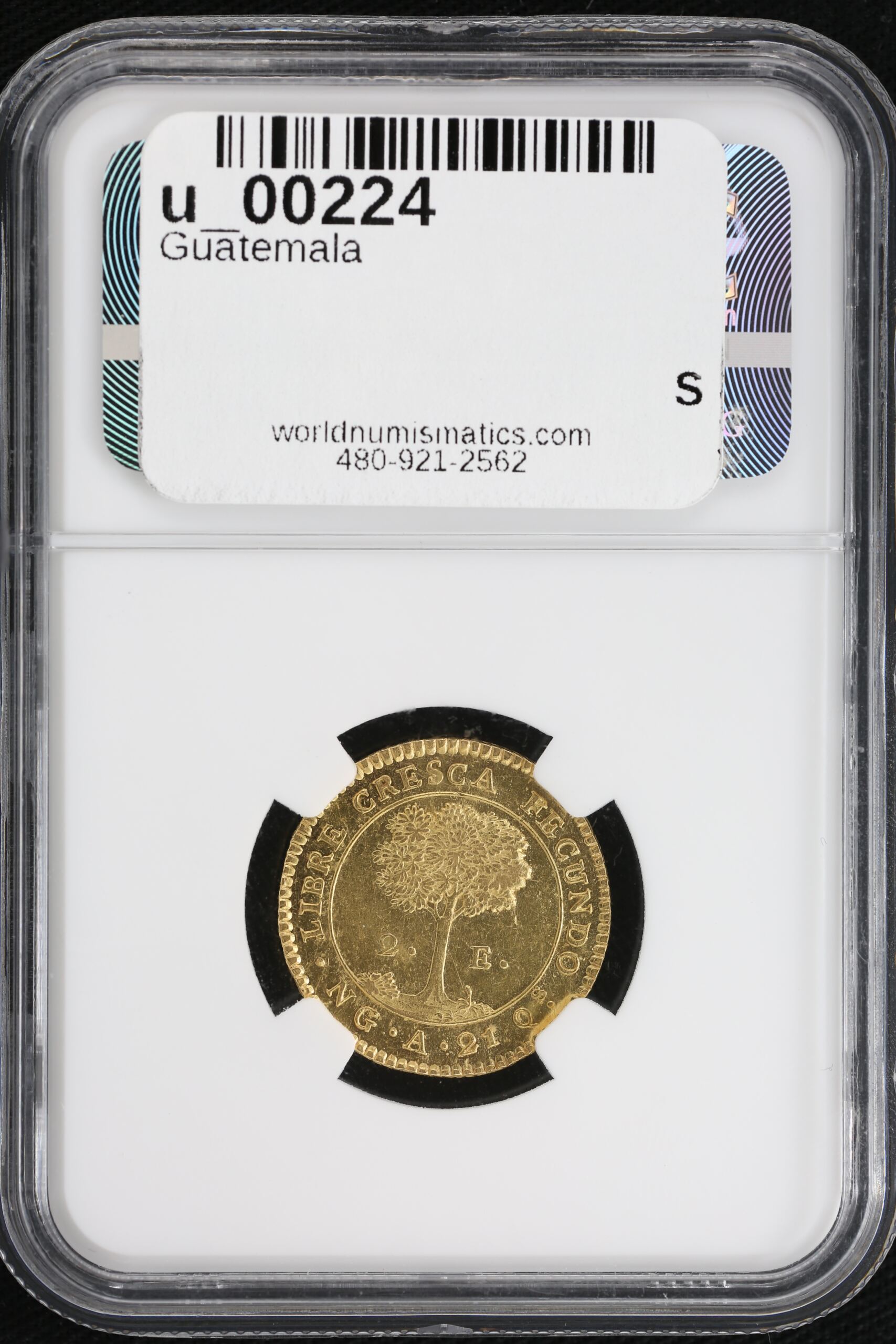 Guatemala Latin American Coins Guatemala 2 Escudos 1847 Ng A NGC MS63 u_00224 Guatemala 2 Escudos 1847 Ng A NGC MS63 u_00224Guatemala 2 Escudos 1847 Ng A NGC MS63 u_00224 - Image 2