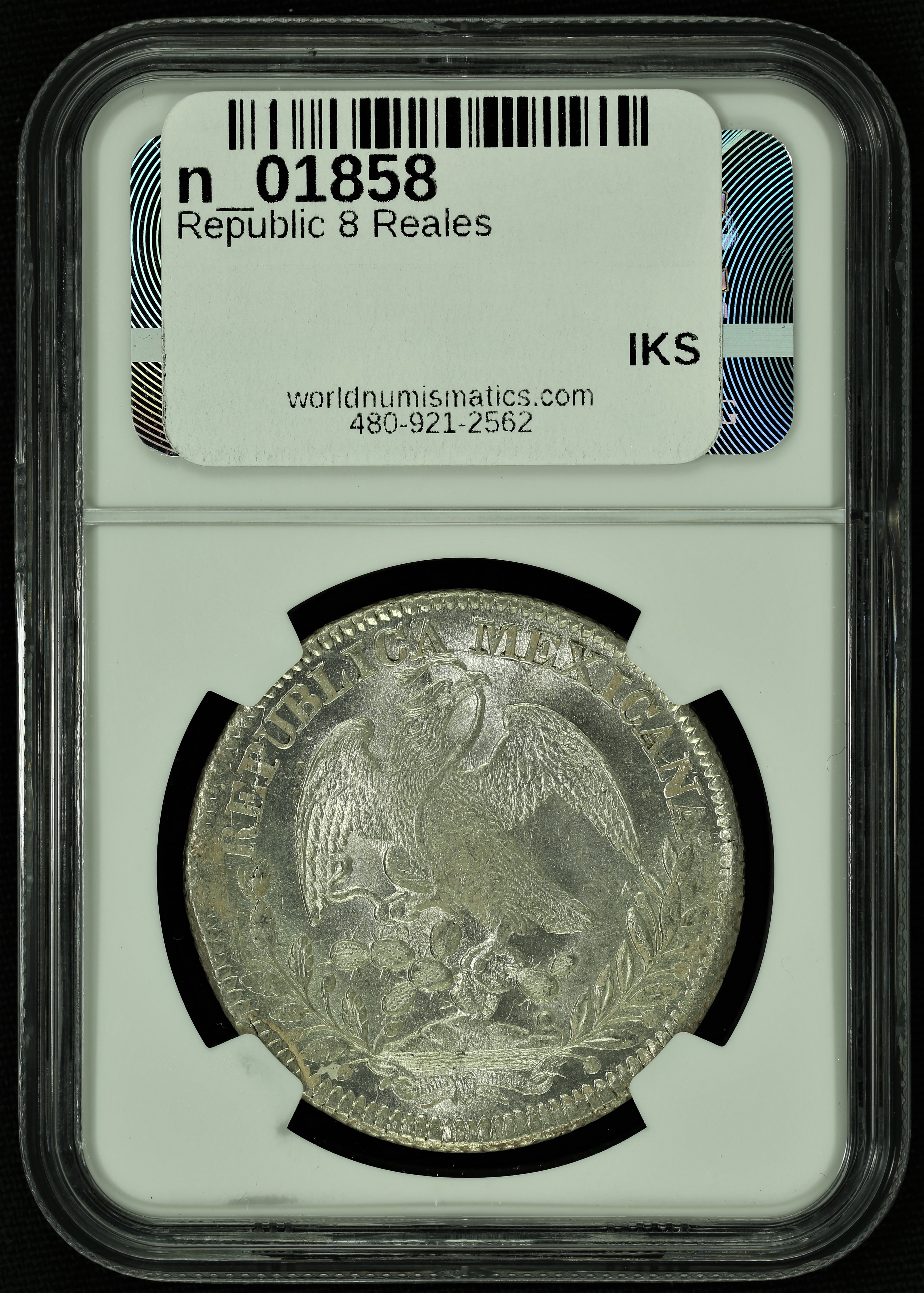 Republic 8 Reales 8 Reales 1841 Zs OM NGC MS64 n_01858