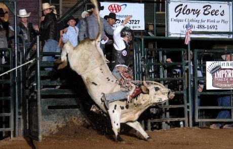 buffalo chip rodeo