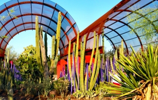 desert botanical gardens