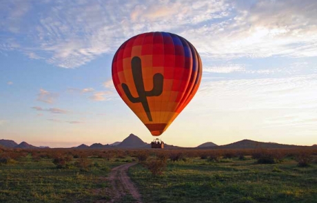 hot air balloon