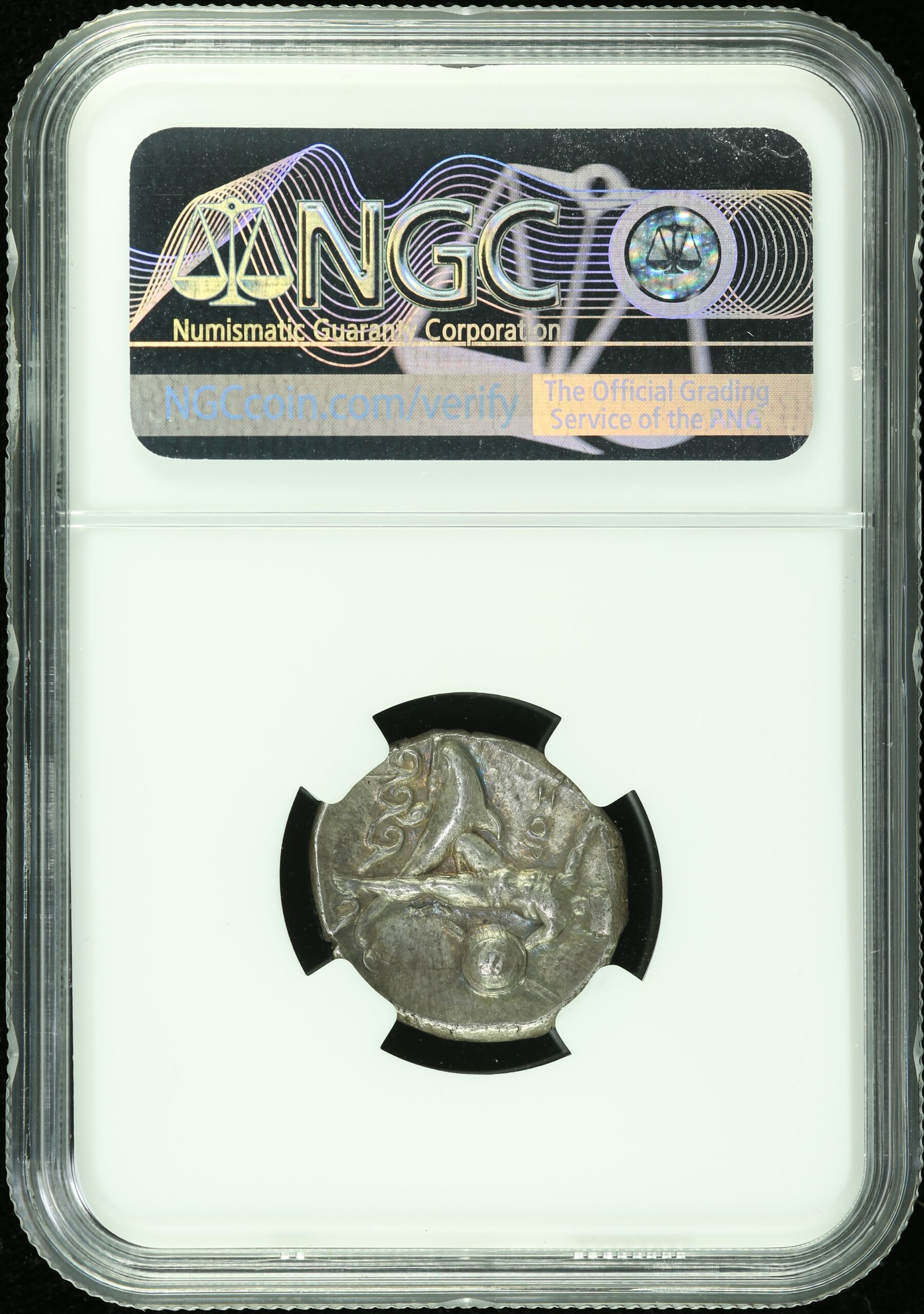 Ancient Coins Calabria Greek Calabria Taras c.early 3rd Century BC AR Didrachm NGC ChAU 0106679 Calabria Taras c.early 3rd Century BC AR Didrachm NGC ChAU 0106679Calabria Taras c.early 3rd Century BC AR Didrachm NGC ChAU 0106679 - Image 2