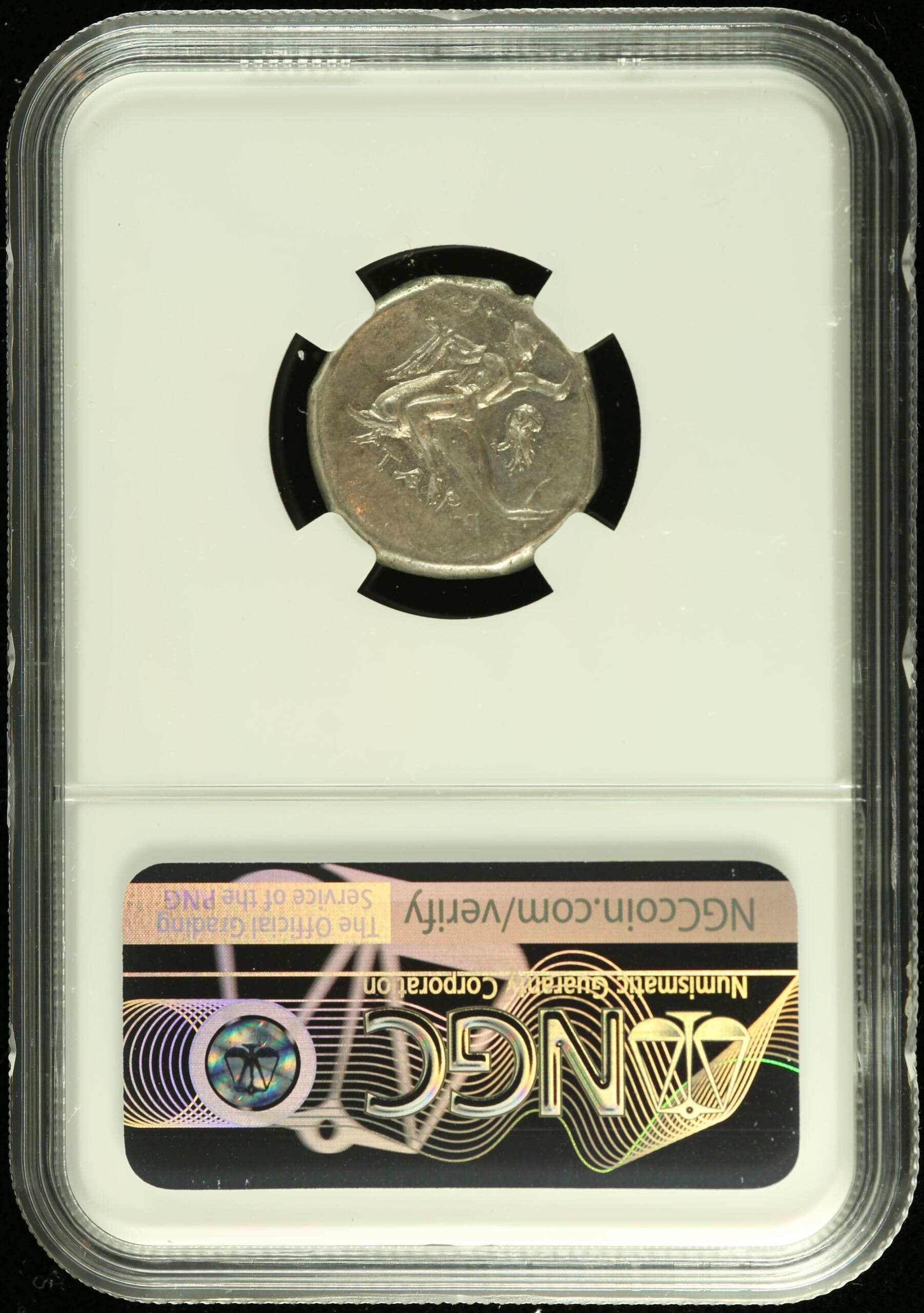 Ancient Coins Calabria Greek Calabria Taras c.281-240 BC AR Didrachm NGC Ch XF 0111042 Calabria Taras c.281-240 BC AR Didrachm NGC Ch XF 0111042Calabria Taras c.281-240 BC AR Didrachm NGC Ch XF 0111042 - Image 2