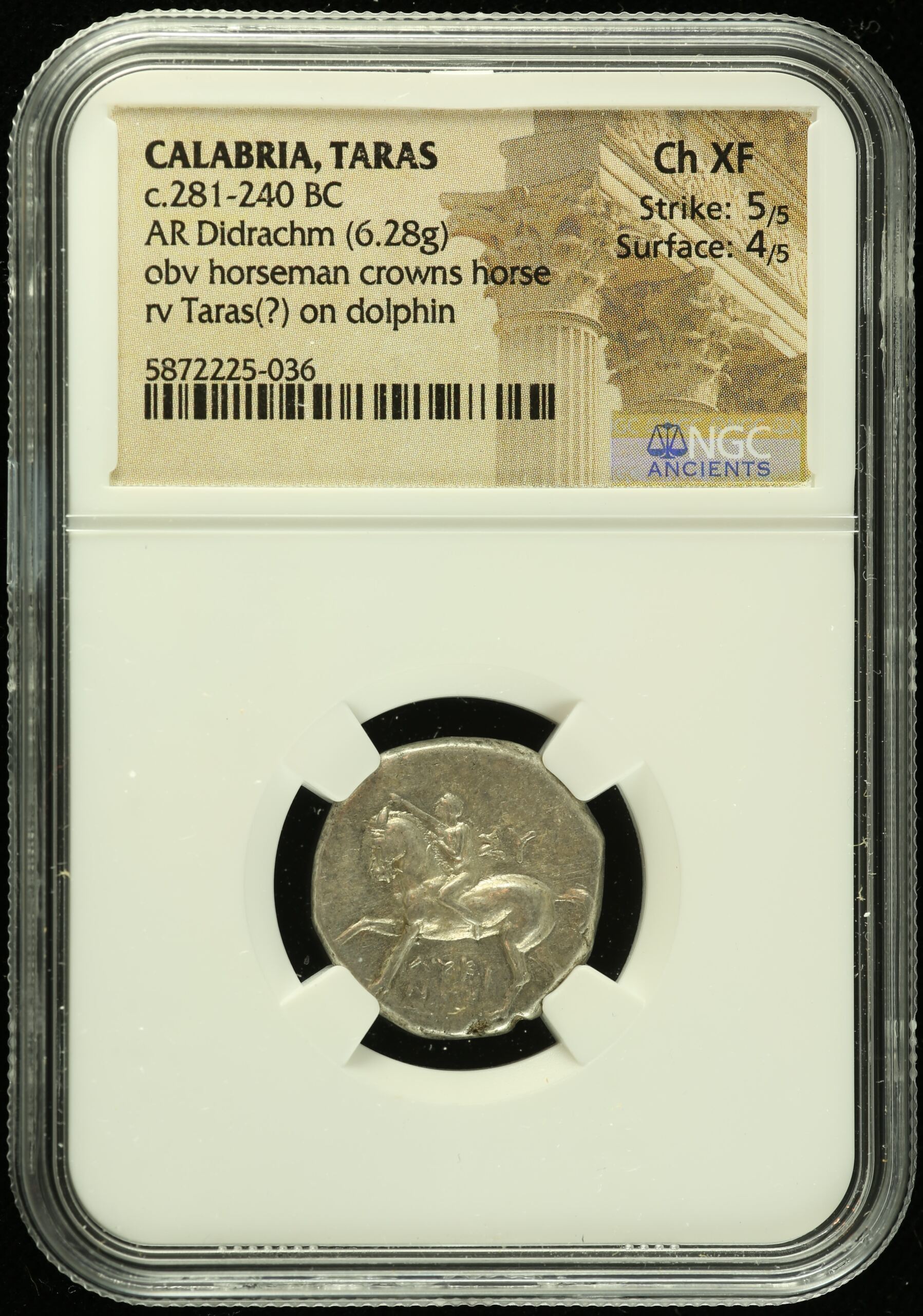 Ancient Coins Calabria Greek Calabria Taras c.281-240 BC AR Didrachm NGC Ch XF 0111042 Calabria Taras c.281-240 BC AR Didrachm NGC Ch XF 0111042Calabria Taras c.281-240 BC AR Didrachm NGC Ch XF 0111042