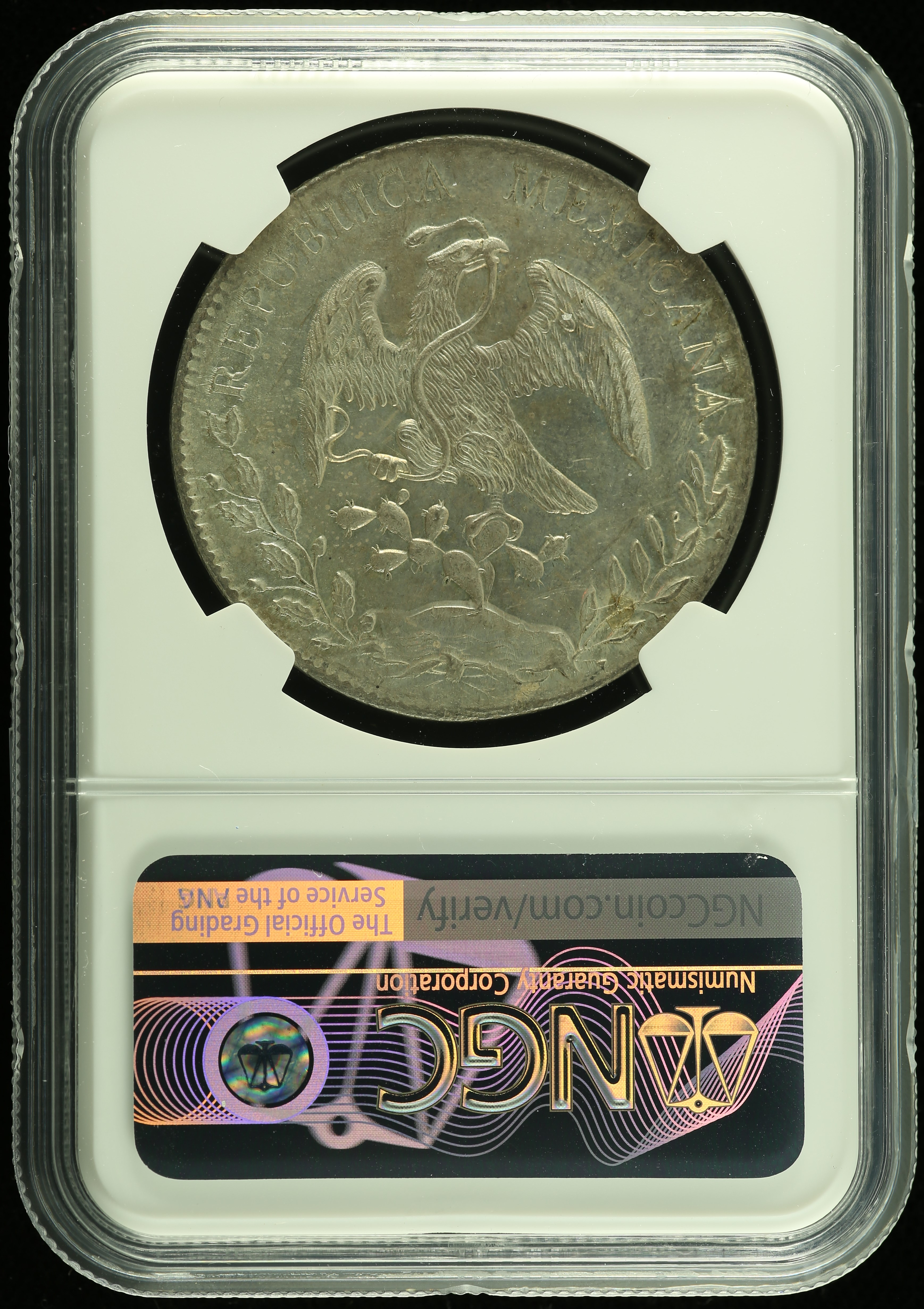 Guanajuato 8 Reales 1891 Go RS NGC MS61 0112301 – World Numismatics LLC