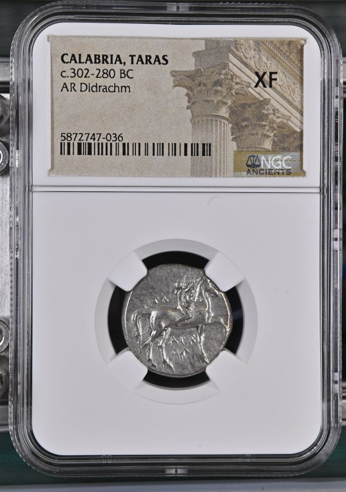 Calabria Taras c.302-280 BC AR Didrachm NGC XF 0126770