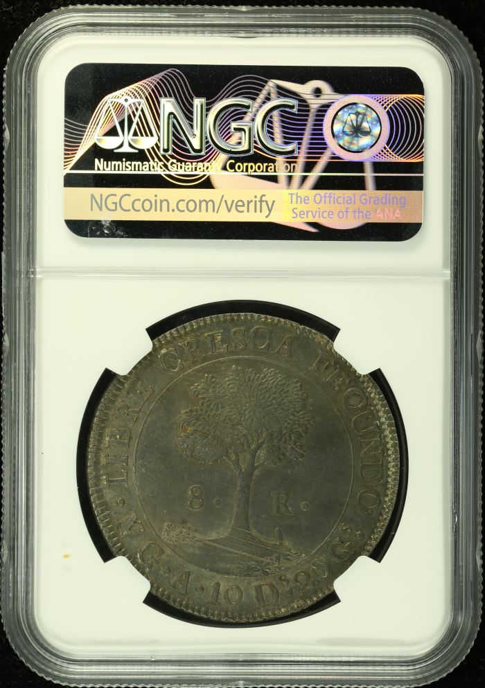 Central American Republic 8 Reales 1847/6 Ng A NGC MS62 0134780Central American Republic 8 Reales 1847/6 Ng A NGC MS62 0134780 - Image 2
