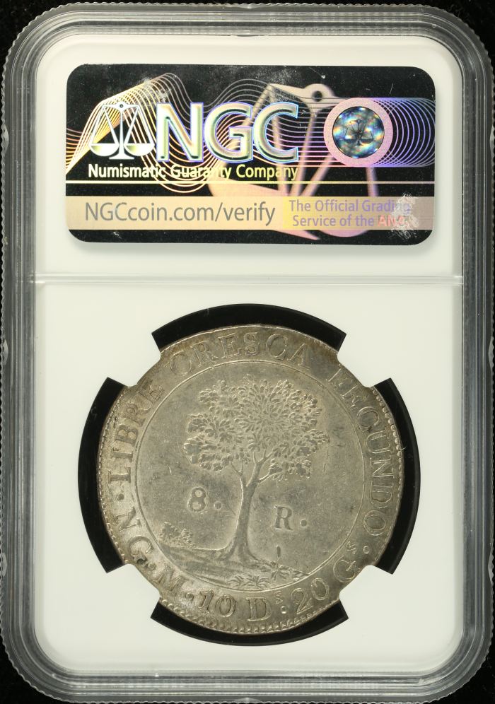 Central American Republic 8 Reales 1826 Ng M NGC MS62 0136010Central American Republic 8 Reales 1826 Ng M NGC MS62 0136010 - Image 2