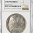 Chopmarked 8 Reales 1880 Zs JS NGC CHOPMARKED 0142300