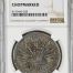 Chopmarked 8 Reales 1877 Go FR NGC CHOPMARKED 0142394
