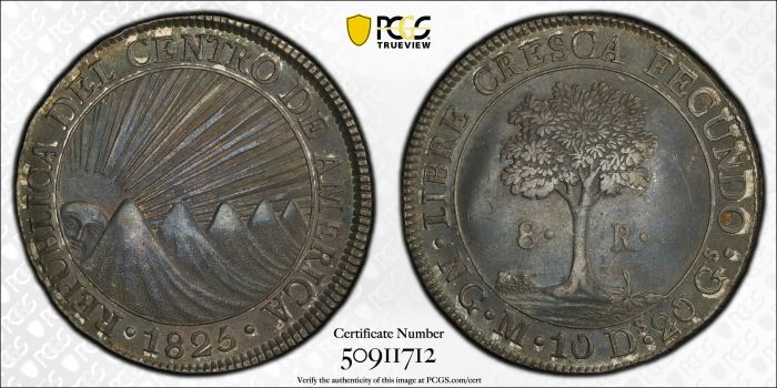 Central American Republic 8 Reales 1825 Ng M PCGS AU58 KM-4 0142623