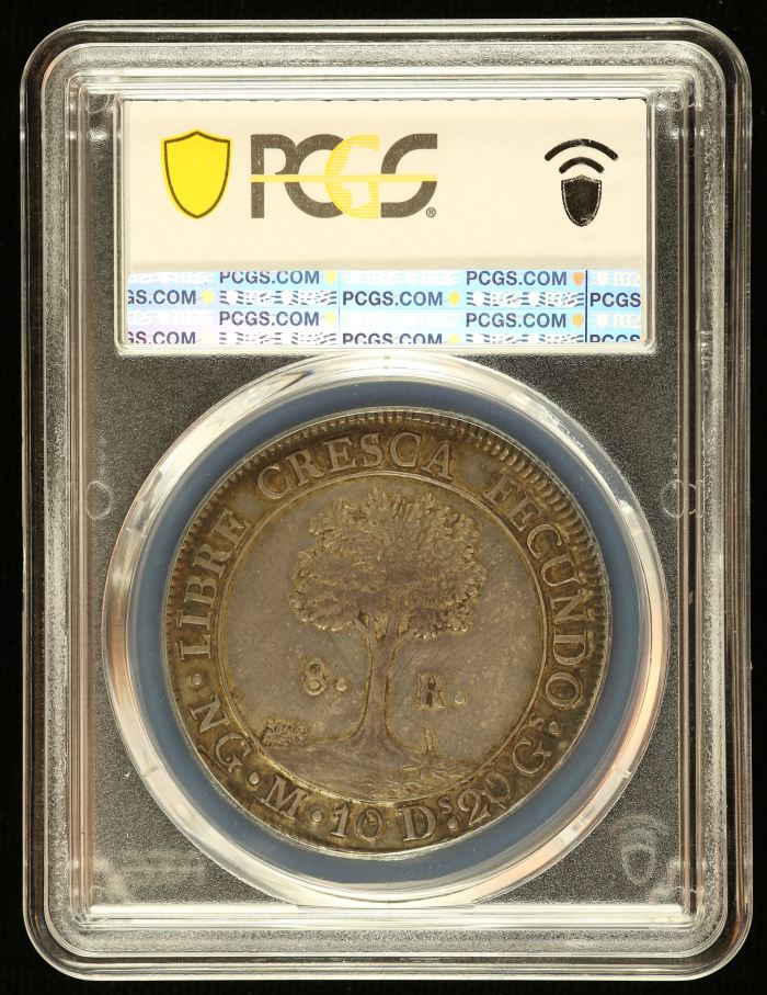 Central American Republic 8 Reales 1824 Ng M PCGS AU58 0142666