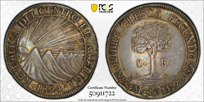 Central American Republic 8 Reales 1824 Ng M PCGS AU58 0142666