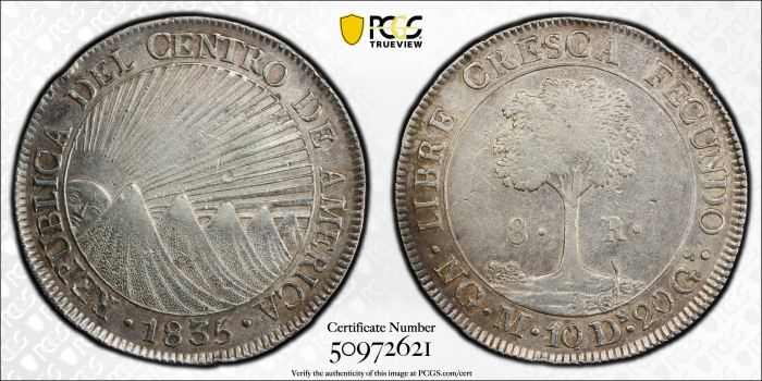 Central American Republic 8 Reales 1835 Ng M KM-4 PCGS XF45 0144717Central American Republic 8 Reales 1835 Ng M KM-4 PCGS XF45 0144717 - Image 3