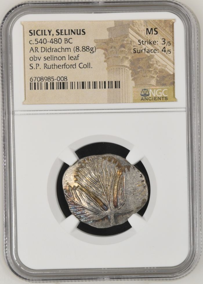 Sicily Selinus c.540-480 BC AR Didrachm NGC MS 0144842Sicily Selinus c.540-480 BC AR Didrachm NGC MS 0144842