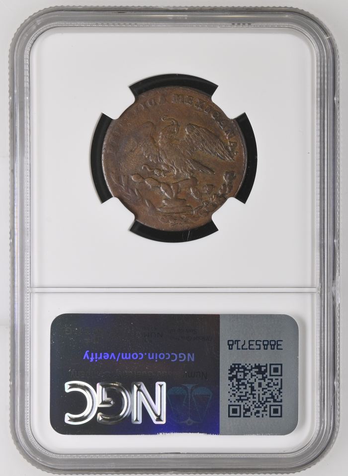 Republic Silver & Minors 1/4 Real 1834 Mo NGC XF40BN 0144996Republic Silver & Minors 1/4 Real 1834 Mo NGC XF40BN 0144996 - Image 2