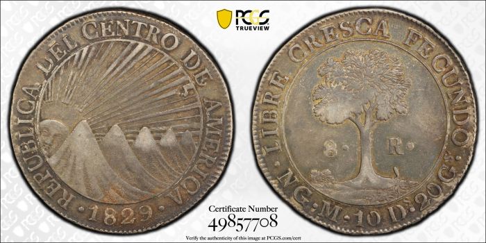 Central American Republic 8 Reales 1829 Ng M PCGS XF45 0144673Central American Republic 8 Reales 1829 Ng M PCGS XF45 0144673 - Image 3