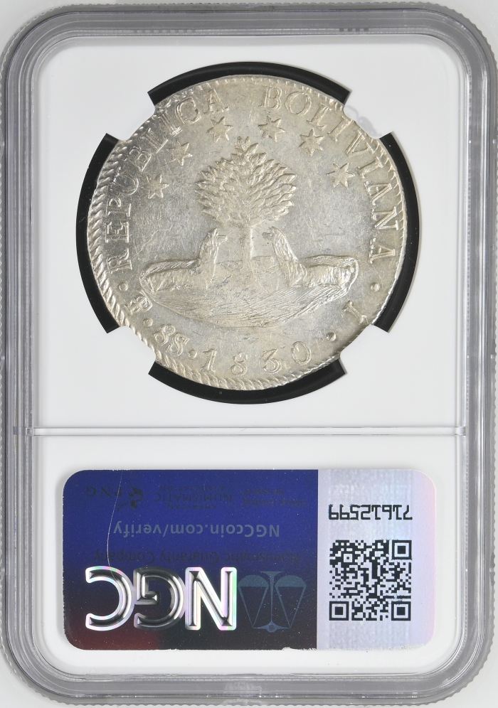 Bolivia 8 Sols 1830 Pts J NGC AU58 0145232Bolivia 8 Sols 1830 Pts J NGC AU58 0145232 - Image 2