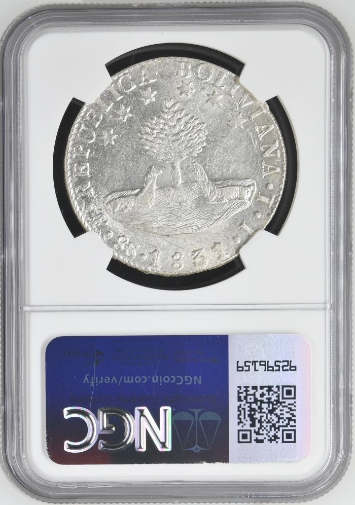 Bolivia 8 Sols 1831 Pts JL NGC MS60 0145237Bolivia 8 Sols 1831 Pts JL NGC MS60 0145237 - Image 2