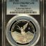 Modern Silver & Minors 1/2 Onza 2013 Mo PCGS PR69DCAM 0151253