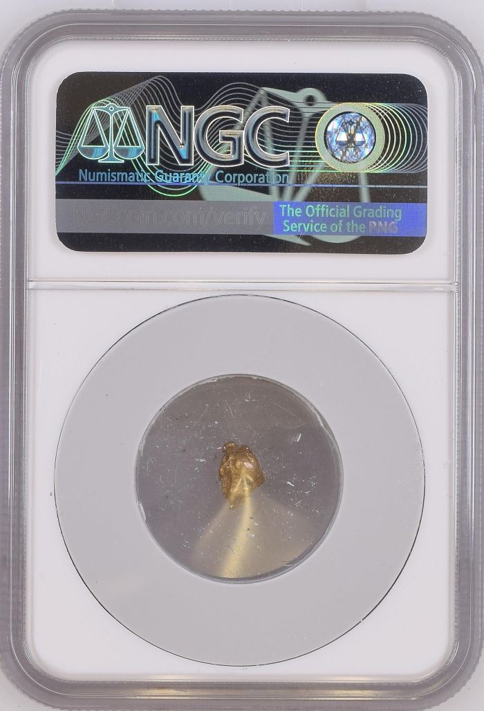 S.S. Central America (1857) California Gold Rush Nugget NGC 0152367S.S. Central America (1857) California Gold Rush Nugget NGC 0152367 - Image 2