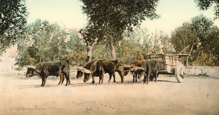 8 Color Photos of Mexico taken in the 1880's and printed circa 1900 plus book f_355748 Color Photos of Mexico taken in the 1880's and printed circa 1900 plus book f_35574 - Image 8