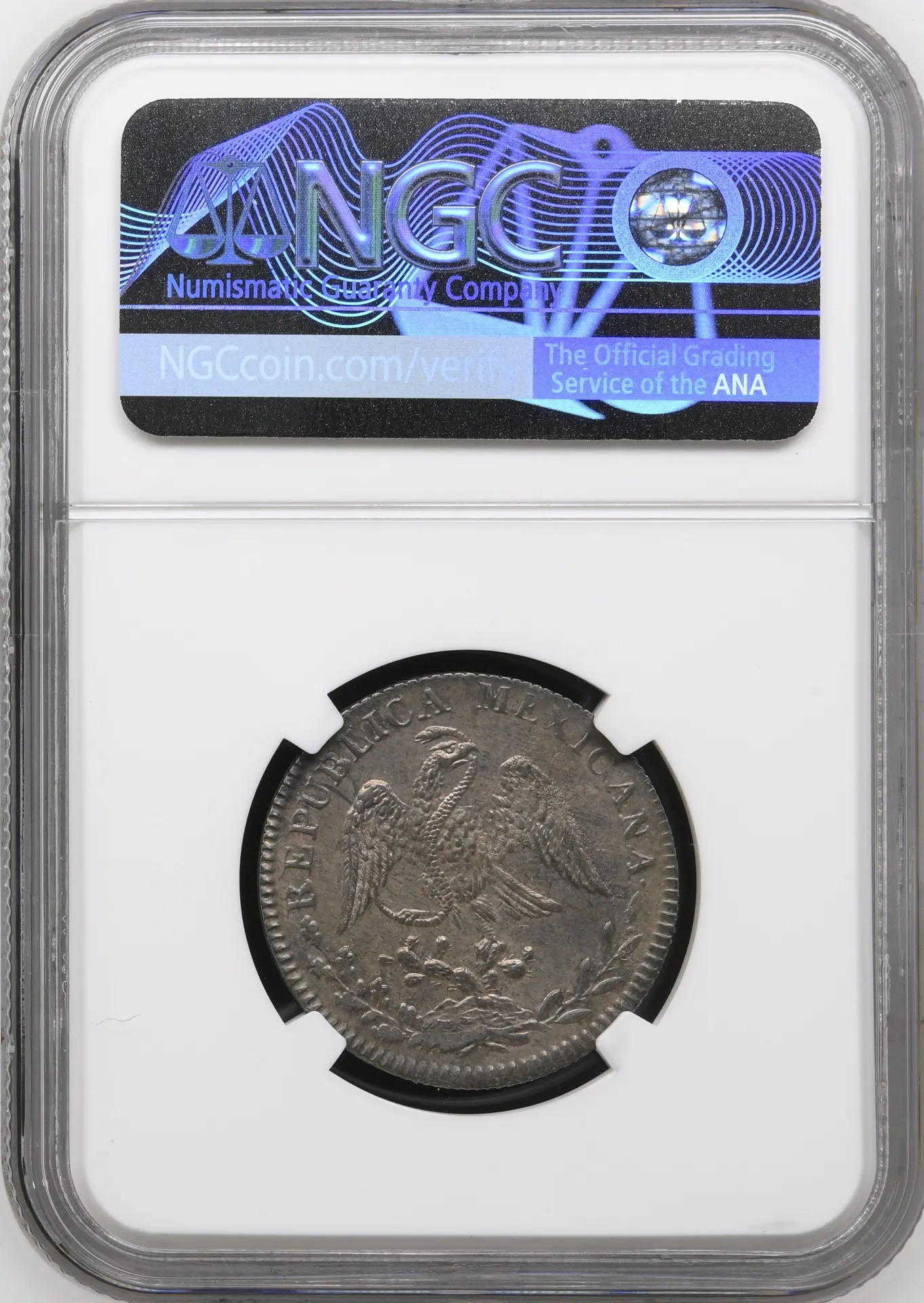 Mexican Coins Republic Silver & Minors Republic Silver & Minors 2 Reales 1838 Go PJ NGC MS62 0158005 Republic Silver & Minors 2 Reales 1838 Go PJ NGC MS62 0158005Republic Silver & Minors 2 Reales 1838 Go PJ NGC MS62 0158005 - Image 2