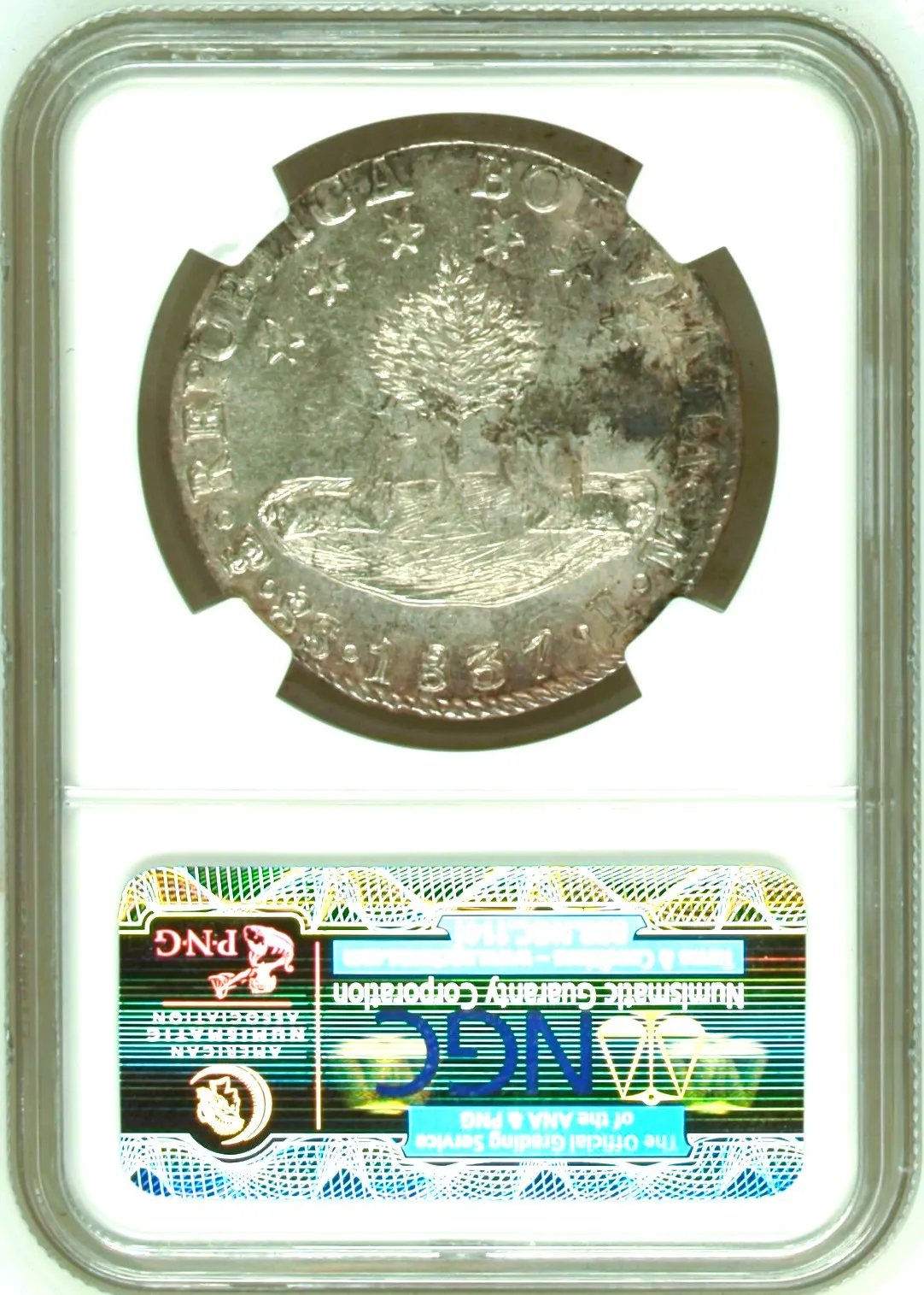 Bolivia Latin American Coins Bolivia 8 Soles 1837 Pts LM NGC MS61 0158489 Bolivia 8 Soles 1837 Pts LM NGC MS61 0158489Bolivia 8 Soles 1837 Pts LM NGC MS61 0158489 - Image 2