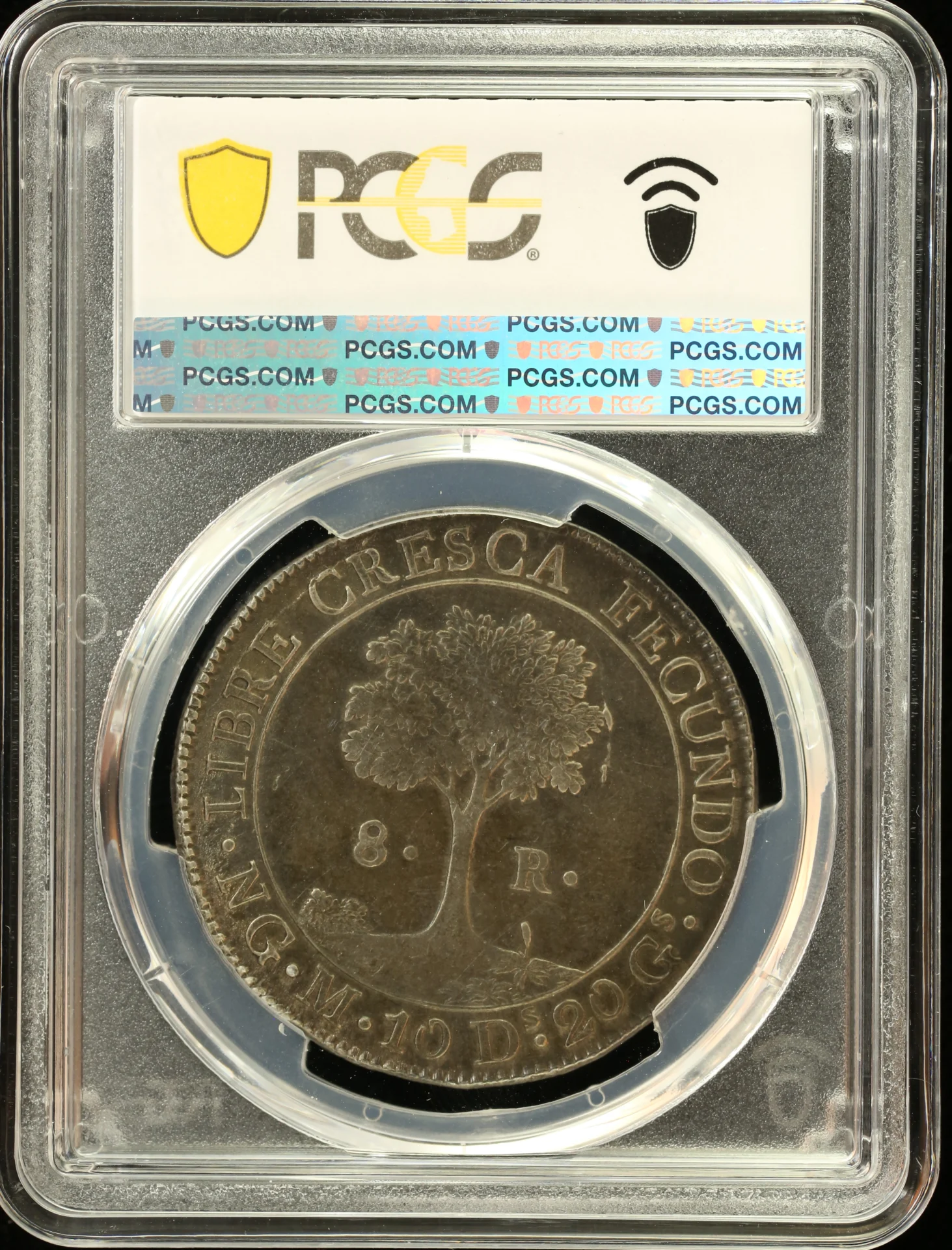 Central American Republic Latin American Coins Central American Republic 8 Reales 1826 Ng M PCGS AU53 KM-4 0158902 Central American Republic 8 Reales 1826 Ng M PCGS AU53 KM-4 0158902Central American Republic 8 Reales 1826 Ng M PCGS AU53 KM-4 0158902 - Image 2