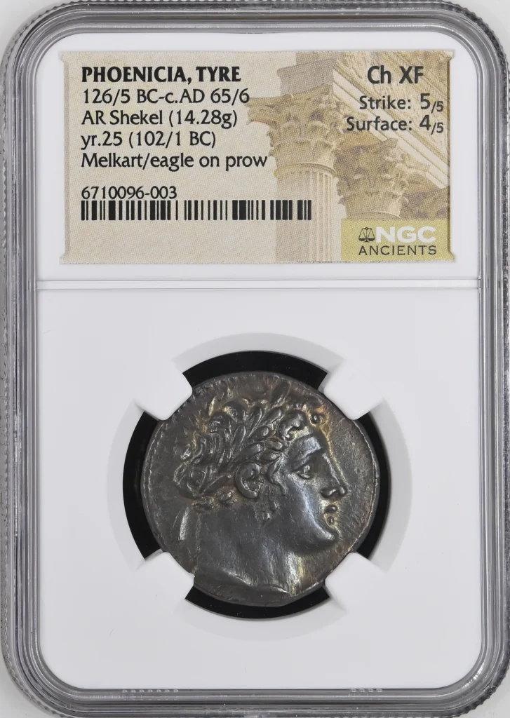Ancient Coins Greek Phoenicia Phoenicia Tyre 126/5 BC - c.65/6 AD AR Shekel NGC Ch XF 0159226 Phoenicia Tyre 126/5 BC - c.65/6 AD AR Shekel NGC Ch XF 0159226
