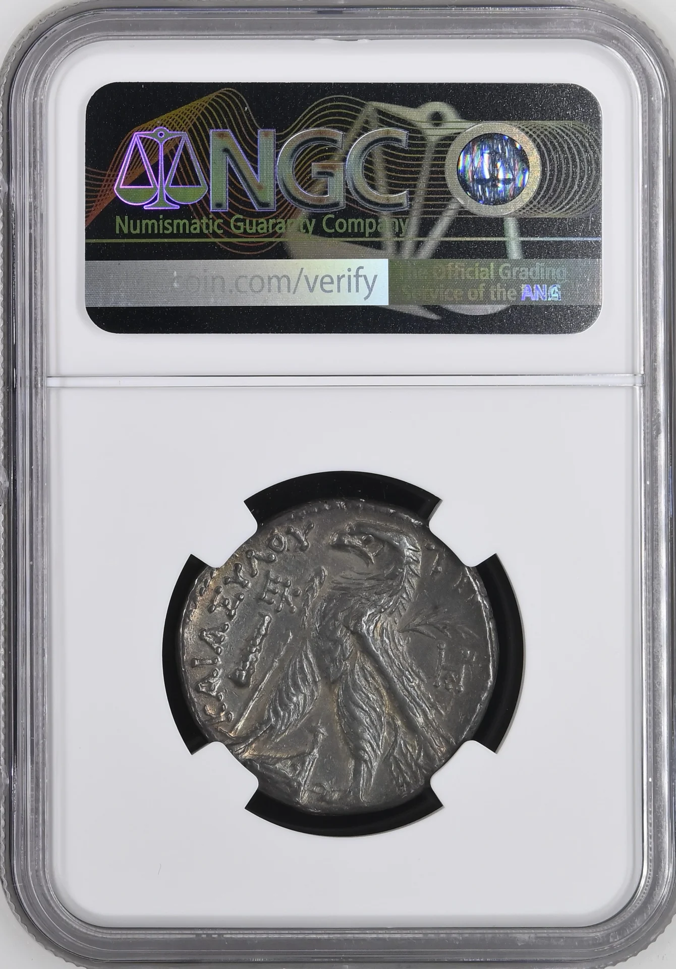 Ancient Coins Greek Phoenicia Phoenicia Tyre 126/5 BC - c.65/6 AD AR Shekel NGC Ch XF 0159226 Phoenicia Tyre 126/5 BC - c.65/6 AD AR Shekel NGC Ch XF 0159226Phoenicia Tyre 126/5 BC - c.65/6 AD AR Shekel NGC Ch XF 0159226 - Image 2