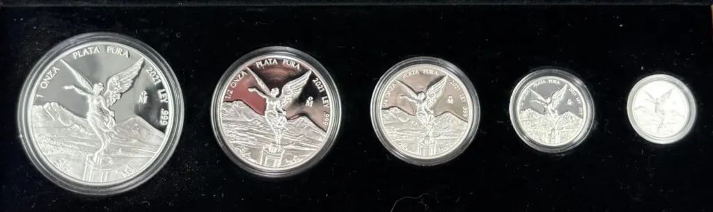 Mint & Proof Sets Libertad Proof 5 Piece  Set 2021 Mo 0160272