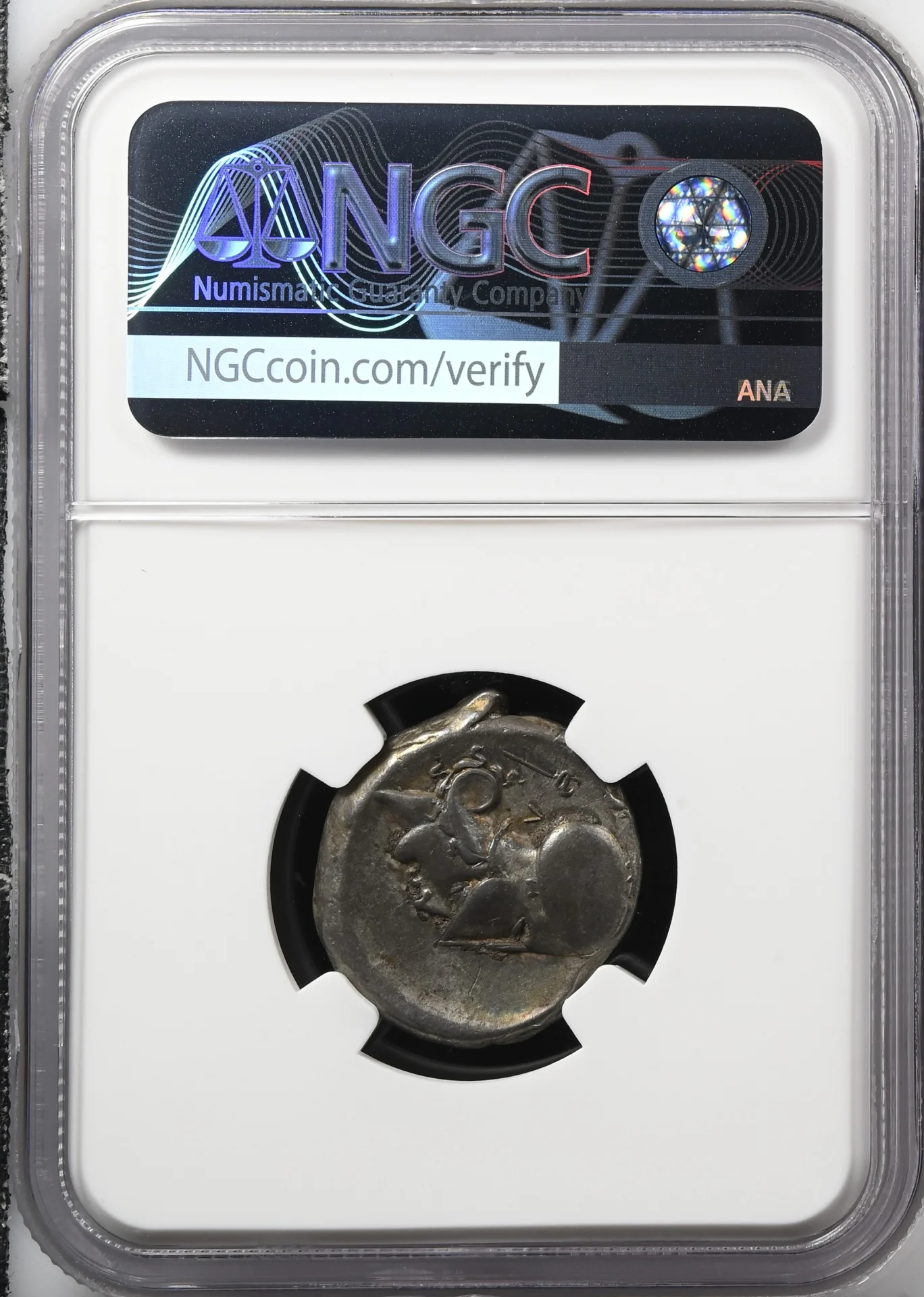 Akarnania Ancient Coins Greek Akarnania c.4th Century BC AR Stater NGC Ch VF 0161481 Akarnania c.4th Century BC AR Stater NGC Ch VF 0161481Akarnania c.4th Century BC AR Stater NGC Ch VF 0161481 - Image 2