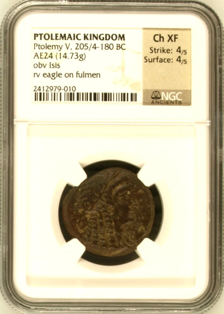 Ptolemaic Kingdom Ptolemy V 205/4-180 BC AE 24 NGC Ch XF 0161683