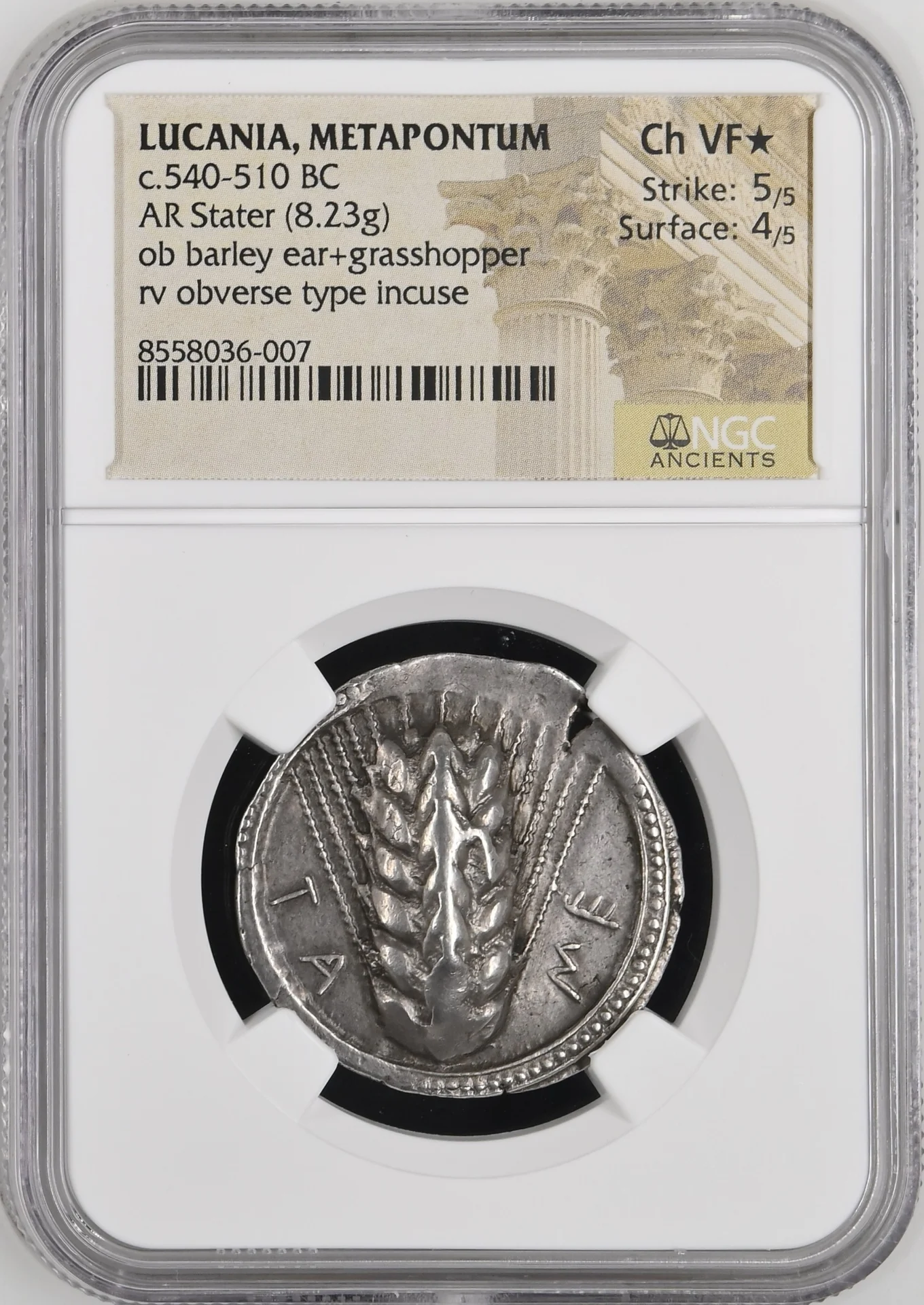 Ancient Coins Greek Lucania Lucania Metapontum c.540-510 BC AR Stater NGC Ch VF* 0162977 Lucania Metapontum c.540-510 BC AR Stater NGC Ch VF* 0162977Lucania Metapontum c.540-510 BC AR Stater NGC Ch VF* 0162977