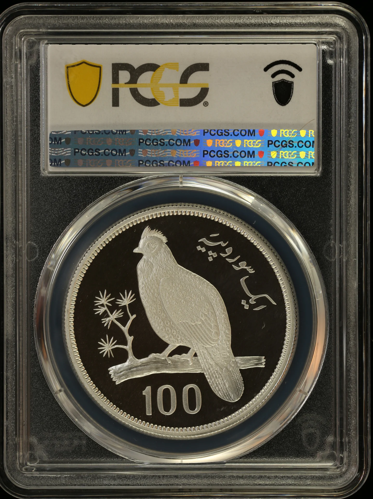 Middle East Other World Coins Other Pakistan 100 Rup 1976 KM-40 PCGS PR69DCAM 0164162 Other Pakistan 100 Rup 1976 KM-40 PCGS PR69DCAM 0164162Other Pakistan 100 Rup 1976 KM-40 PCGS PR69DCAM 0164162 - Image 2
