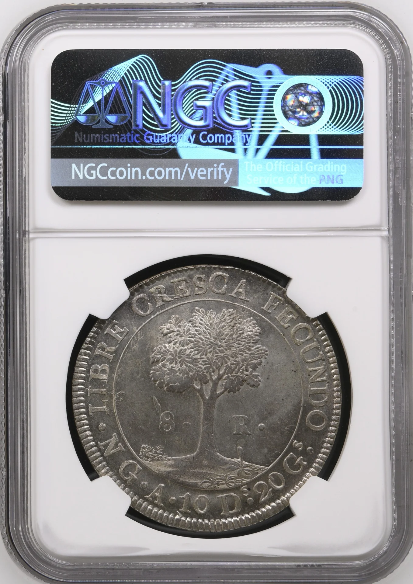 Central American Republic Latin American Coins Central American Republic 8 Reales 1847/6 Ng A NGC MS65+ 0164610 Central American Republic 8 Reales 1847/6 Ng A NGC MS65+ 0164610Central American Republic 8 Reales 1847/6 Ng A NGC MS65+ 0164610 - Image 2