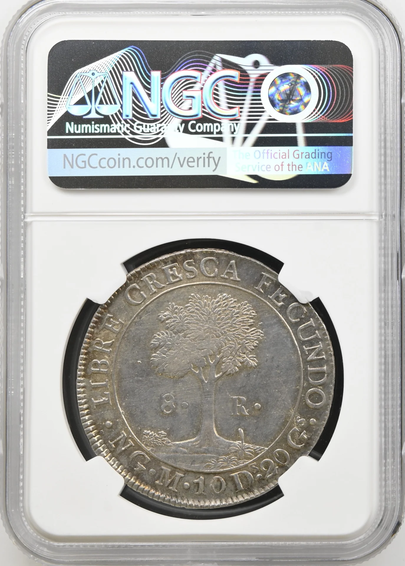 Central American Republic Latin American Coins Central American Republic 8 Reales 1829 Ng M NGC MS62 0164737 Central American Republic 8 Reales 1829 Ng M NGC MS62 0164737Central American Republic 8 Reales 1829 Ng M NGC MS62 0164737 - Image 2